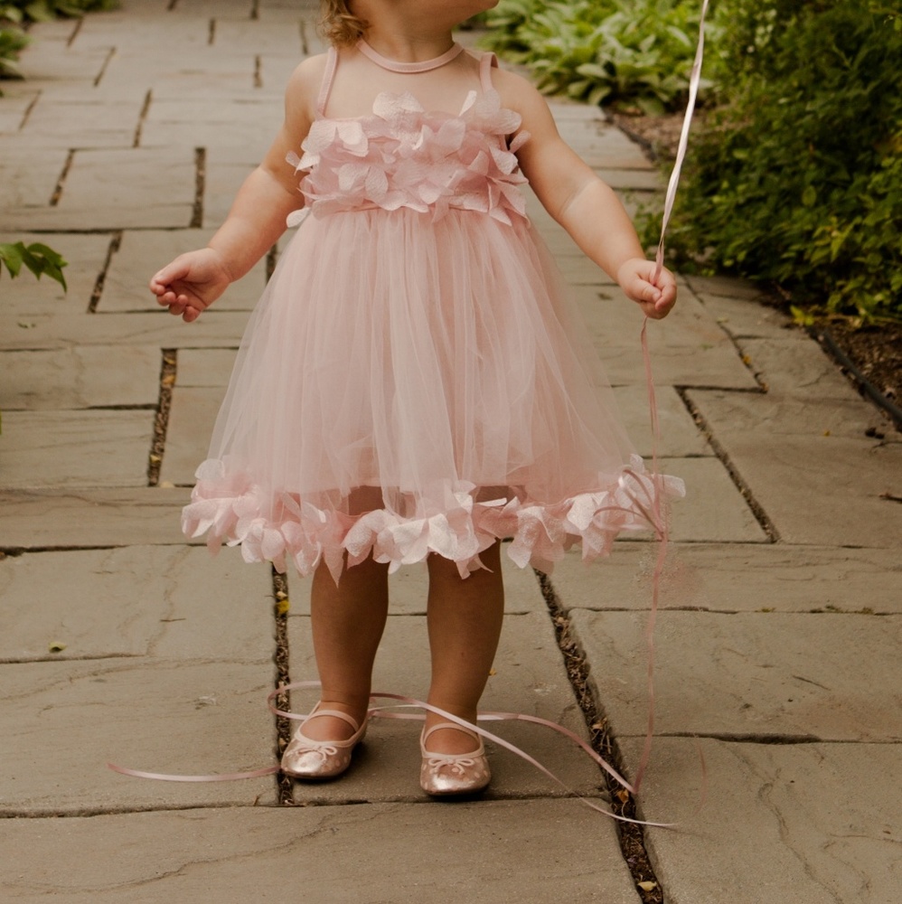 Toddler girls Pink Blush dress